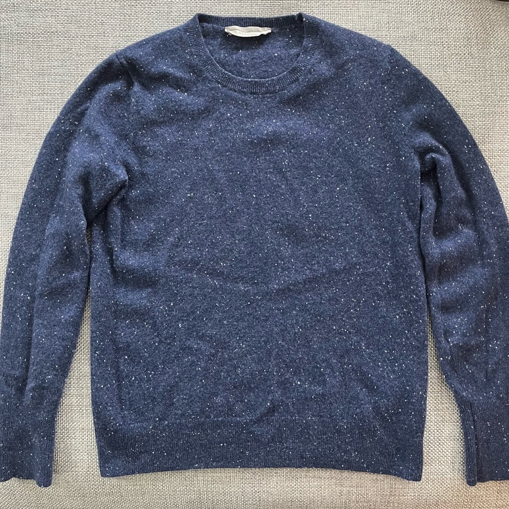 Everlane Cashmere Crew Sweater in Blue Donegal